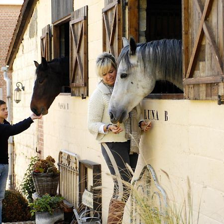 B&B Domaine Villa Bayard Kanne Eksteriør billede