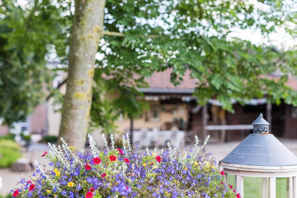 B&B Domaine Villa Bayard Kanne Eksteriør billede